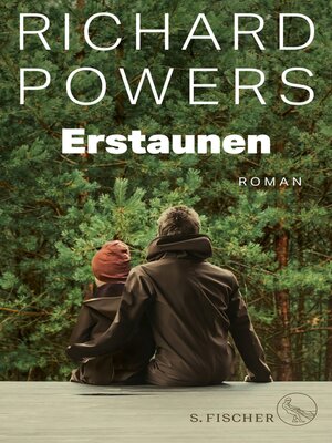 cover image of Erstaunen